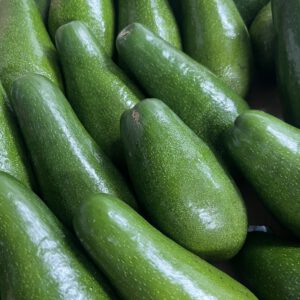 אבוקדו ״אטינגר״ | 1.35-1.45 ק״ג